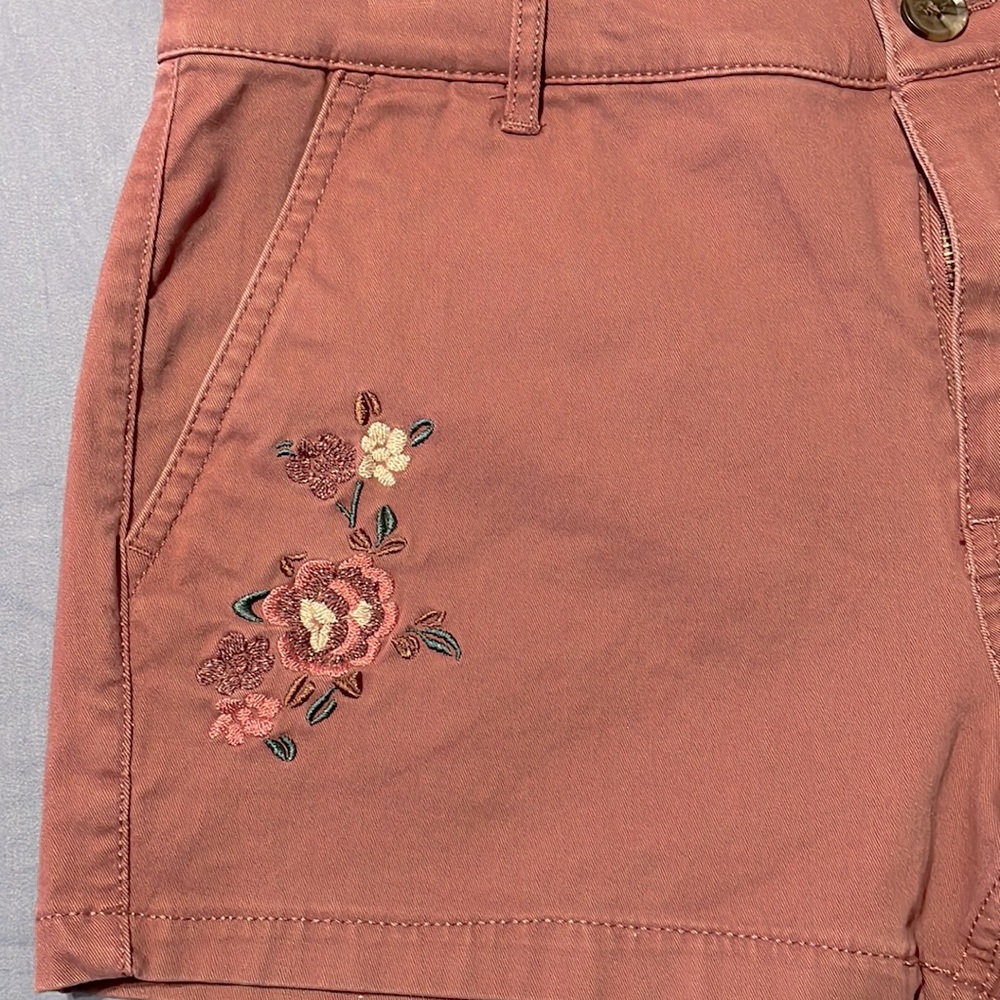 Express Shorts - Picture 2 of 9